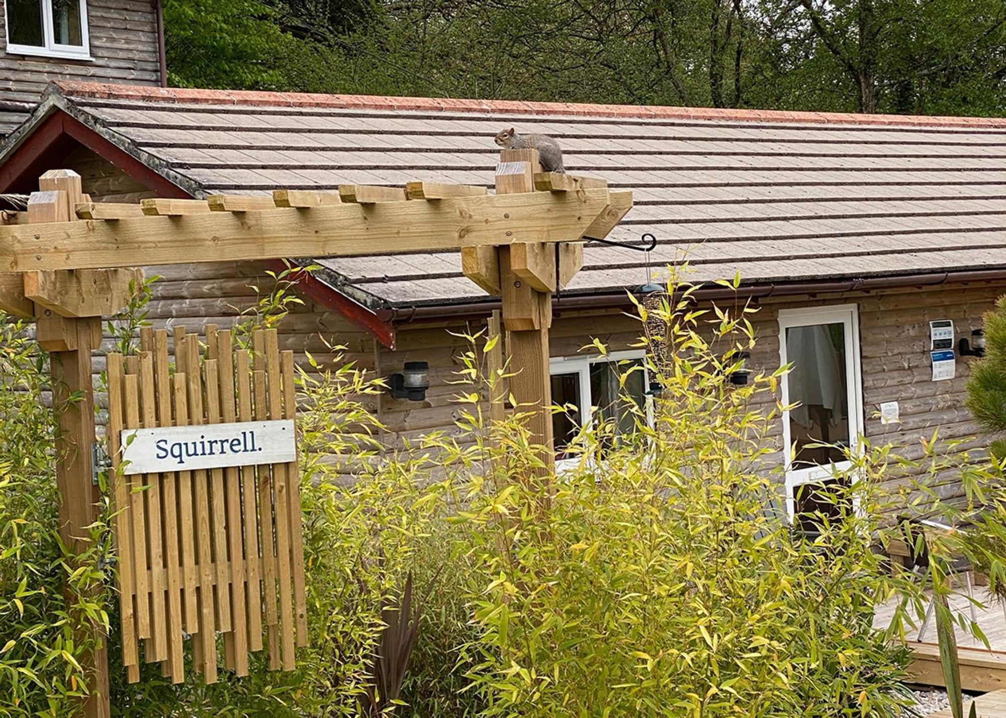 Ivyleaf Combe Lodges Stratton  Bagian luar foto